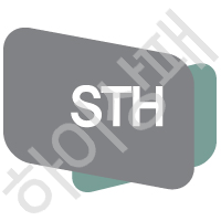 STH건설