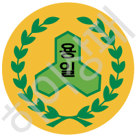 용일초등학교(인천)