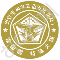 특수대대