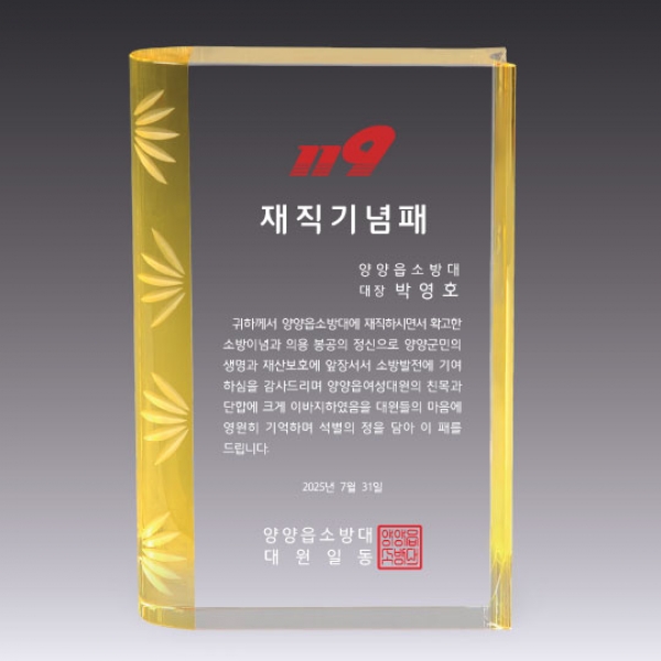 HI1004103
